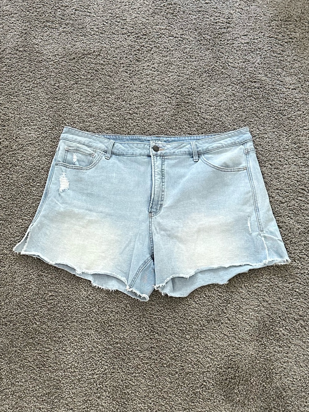Terra & Sky Denim Shorts